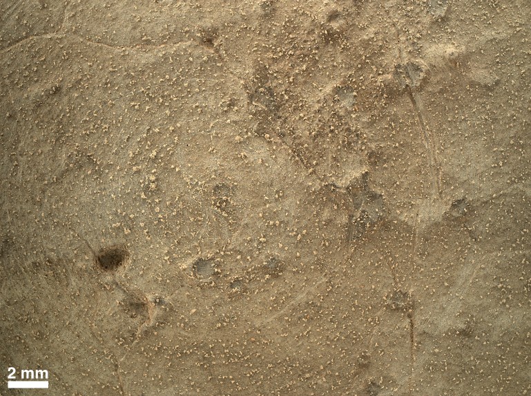 Close-up of brushed area on Martian rock target 'Ekwir_1' (Image: NASA/JPL-Caltech/MSSS)