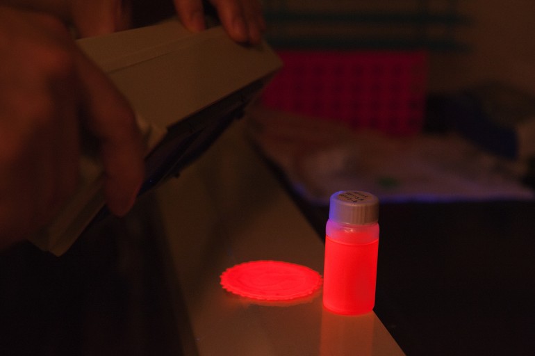 LumiSands researchers use a black light to show the photo-luminescence of their silicon na...